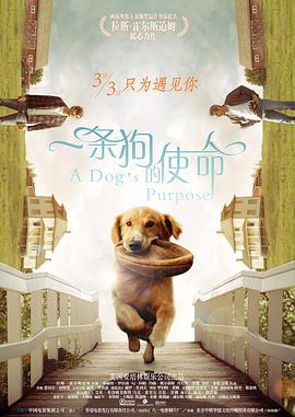 乱情家庭(家庭乱情)小说